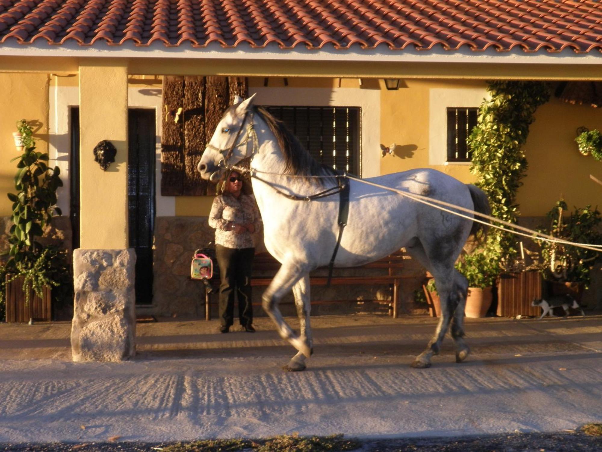 La Posada Hipica Otel Rosalejo  Dış mekan fotoğraf