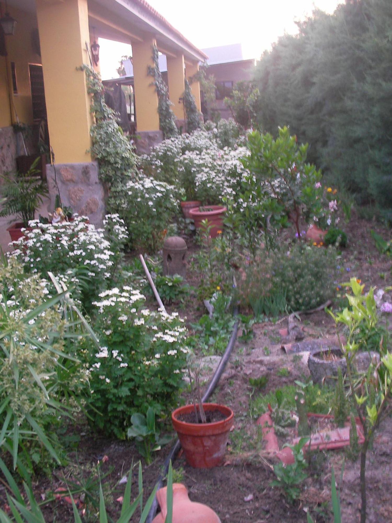 La Posada Hipica Otel Rosalejo  Dış mekan fotoğraf