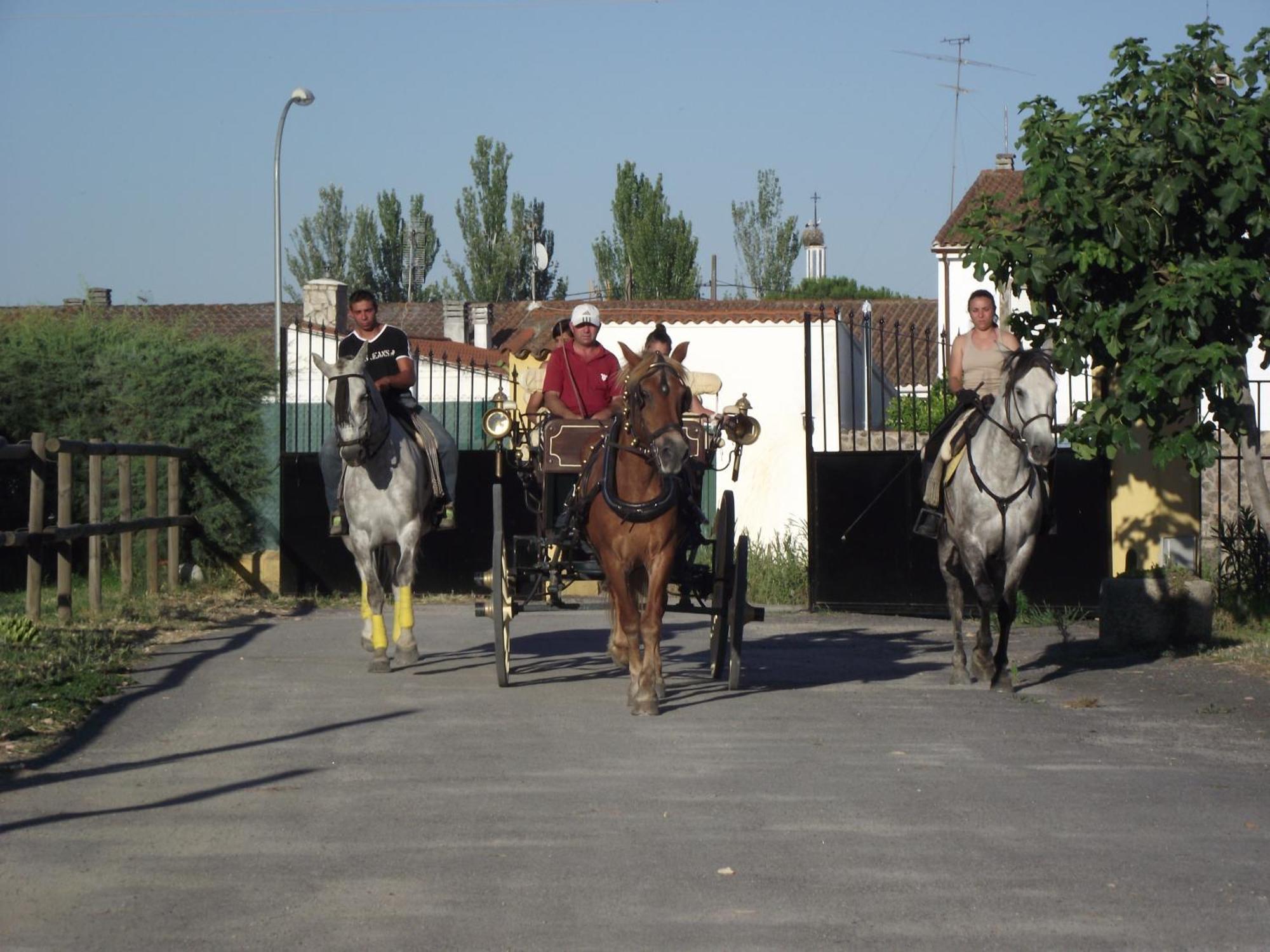 La Posada Hipica Rosalejo  Dış mekan fotoğraf
