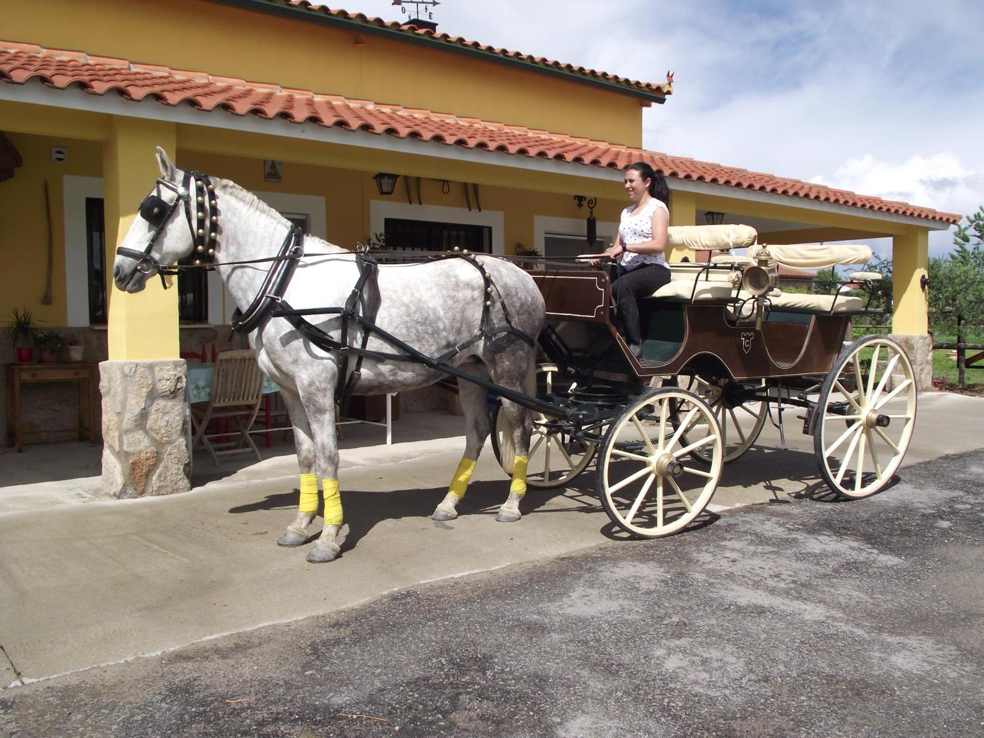 La Posada Hipica Otel Rosalejo  Dış mekan fotoğraf