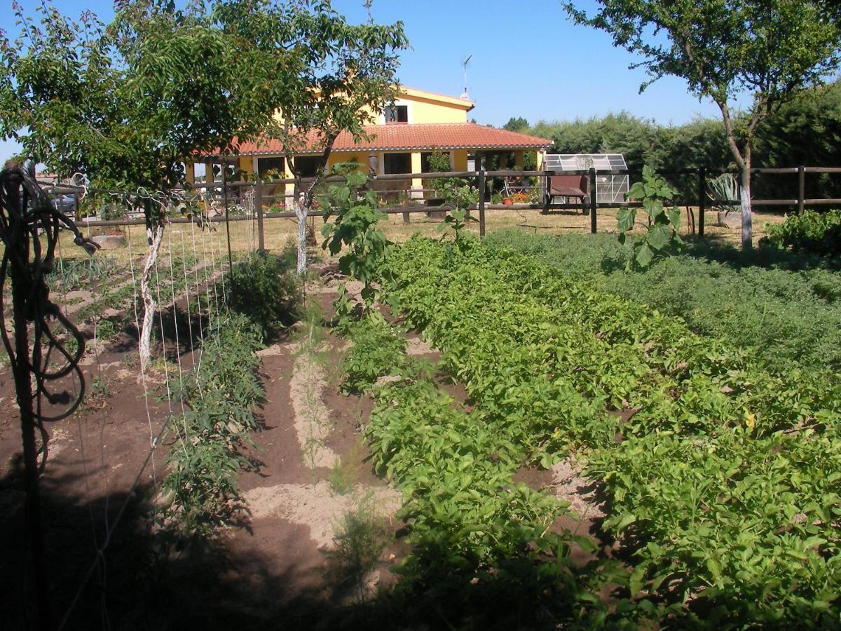 La Posada Hipica Otel Rosalejo  Dış mekan fotoğraf